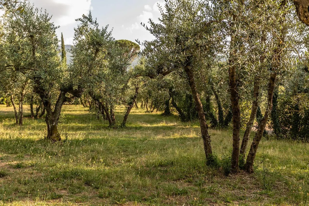 ***  Hotel Ristorante Casa Volpi Αρέτσο Ιταλία
